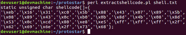 Extracting shell code